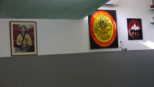 École Hoàng Nam Gallery - France