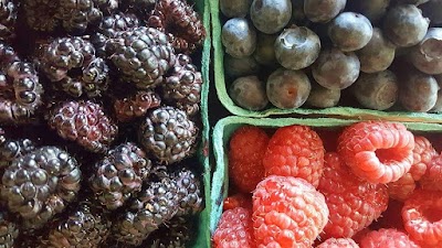 Photos of Weaver's Orchard Inc