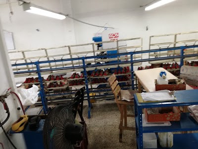 Photos of Zapato Sas