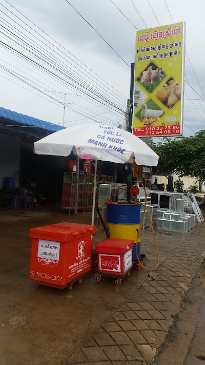 Photos of ដេប៉ូ ធឿនស្រីម៉ៅ (លក់ចំណីសត្វ ថ្នាំសត្វ ពូជសត្វ និង សំភារៈកសិកម្មគ្រប់ប្រភេទ)