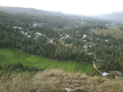 Photos of Dumbuluwawa Jumma Masjidh