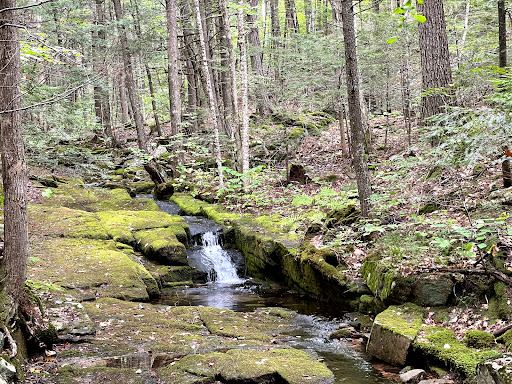 Pleasant Mountain Fire Warden's Trail - Thumbnail