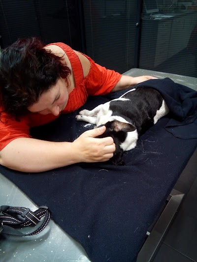 Photos of Dierenkliniek Eisenhower