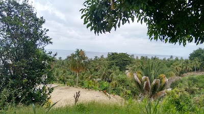 Photos of La Mar de Bien