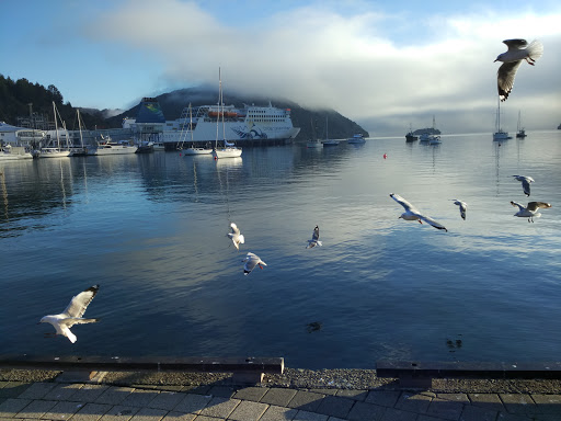 Avis Car and Truck Rental Picton Ferry - Thumbnail
