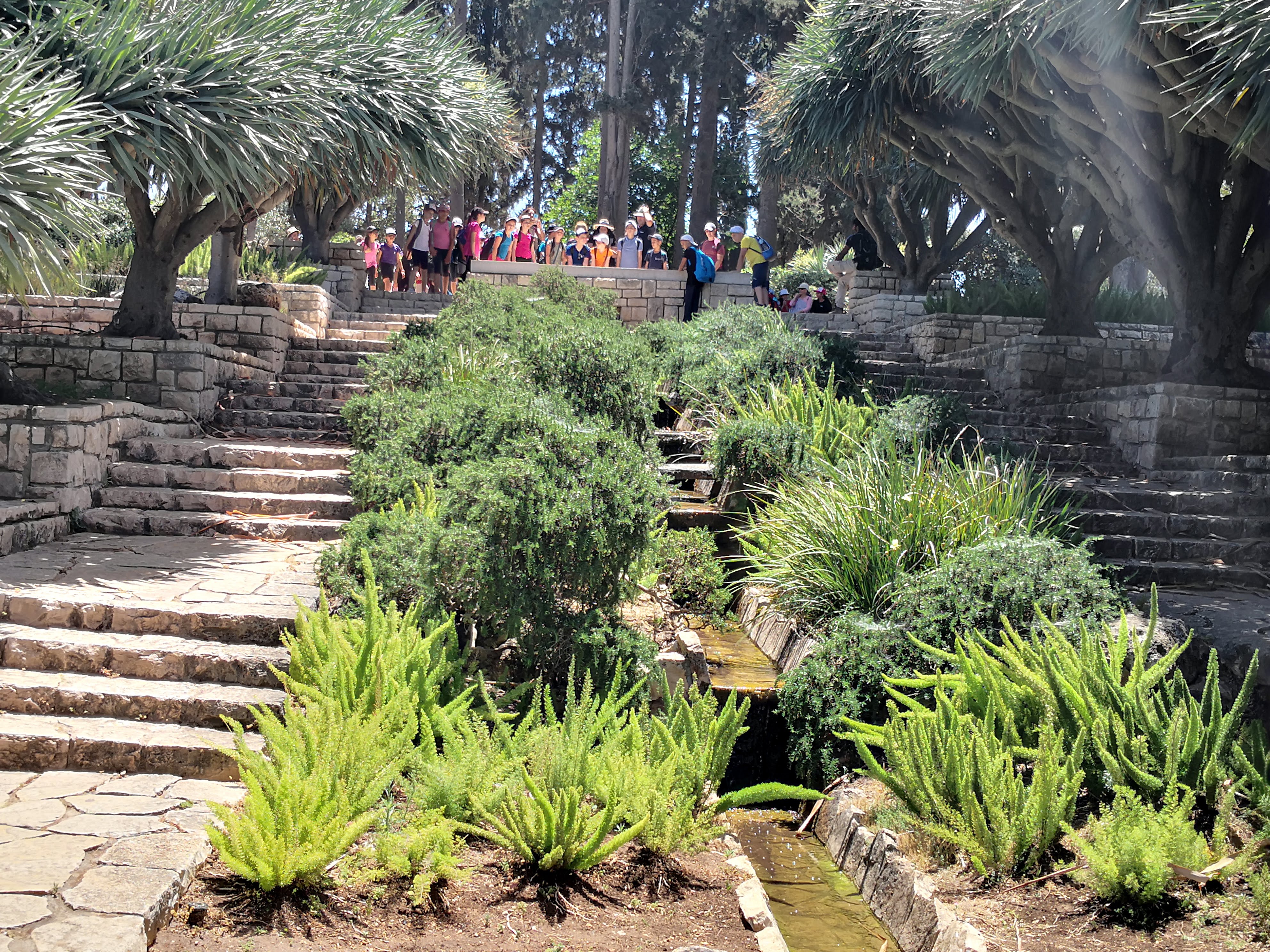 Slide Image