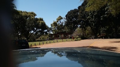 Photos of Japanese Gardens