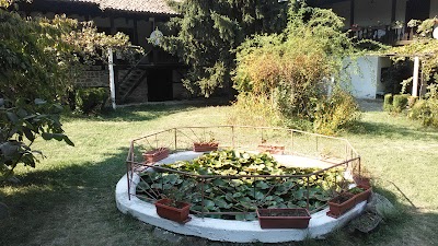 Photos of Ivaylo Ananiev Ltd.