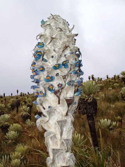 Photos of Guandera Reserve and Biological Station