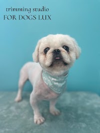 FOR DOGS LUX