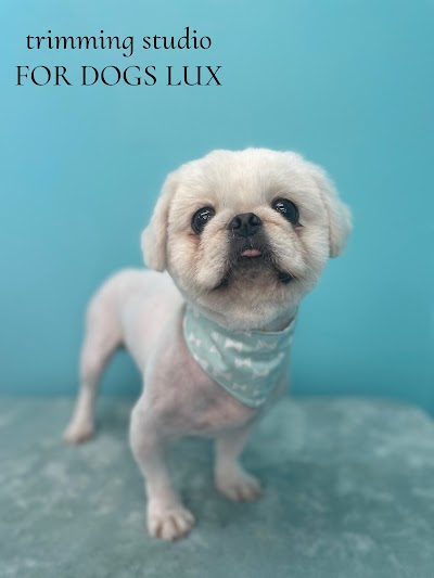 FOR DOGS LUX