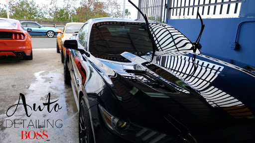 Auto Detailing Boss Gallery - United States