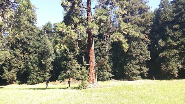 Castello di Sammezzano