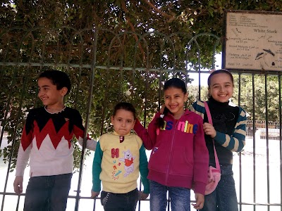 Photos of حديقة حيوان بنى سويف