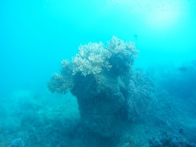 Photos of pulau tidung