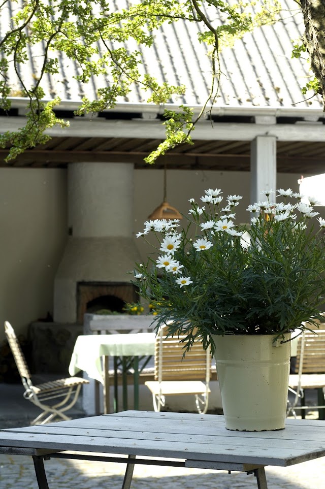 Freimühle Hotel-Restaurant