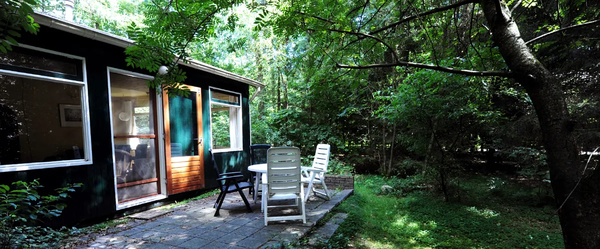 Vakantiehuis Brummel Norg Drenthe