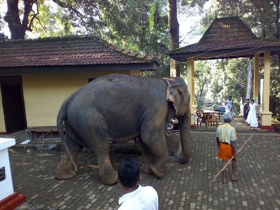 Photos of Kabulumulla Rajamaha Paththini Dewalaya.