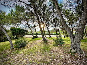 Photo n°10 de Tennis Club Tavel à Tavel (Moniteur de tennis)