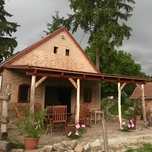 Comentarii opinii despre Szellő Porta