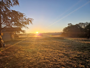 Photo n°21 de Nova Foresta Edulis à Monclar-sur-Losse (Ferme)