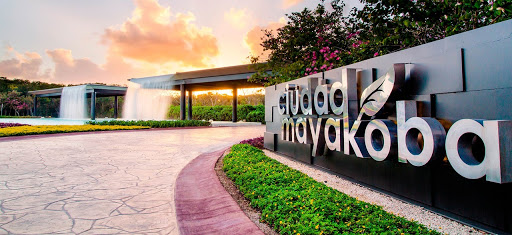 Ciudad Mayakoba Real Estate
