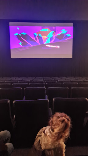 Cinema Aladdin - Visual
