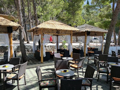 Photos of Beach Bar "Johnny"