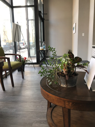 DentArt Chicago - Thumbnail