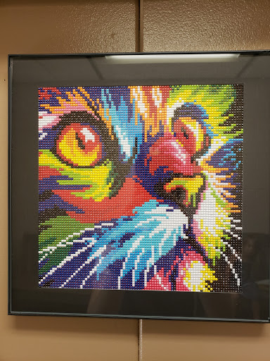 Gloucester Veterinary Hospital - Thumbnail