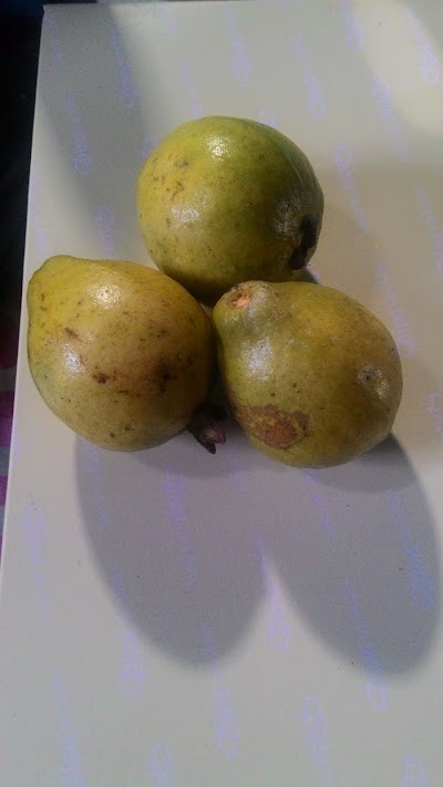 Photos of Buah Segar