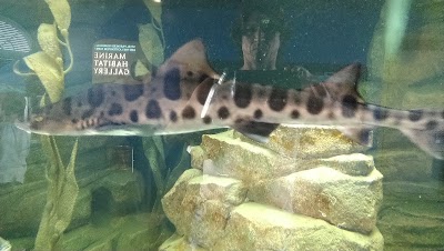 Roundhouse Aquarium