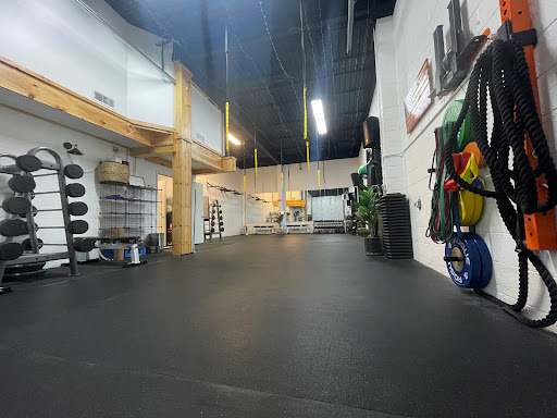Evolution Spin LLC - Visual