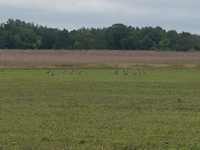 Busseltown Unit Tennessee National Wildlife Refuge