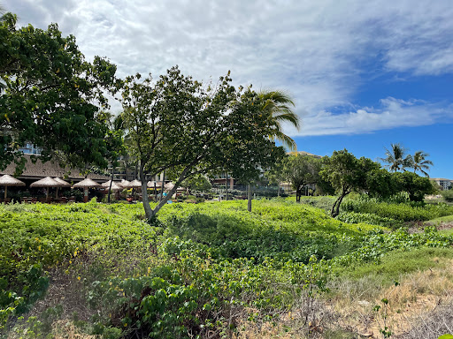Honoapiilani Park - Thumbnail