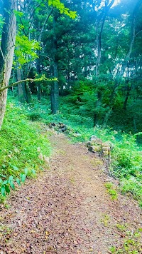 アートホテル成田 フォレストガーデン