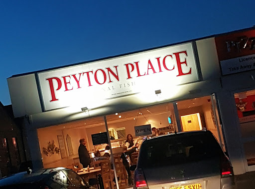 Peyton Plaice - Visual