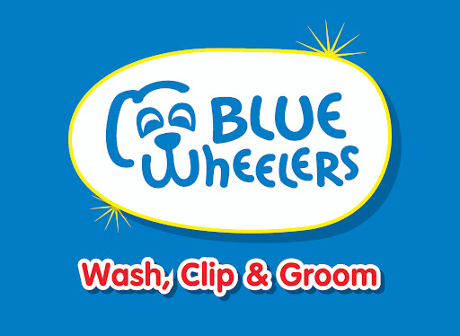 Blue Wheelers Berkeley Vale - Thumbnail