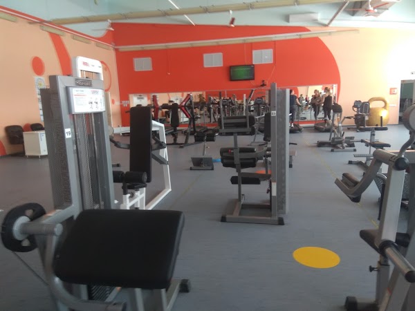 Дворец спорта радуга дубна