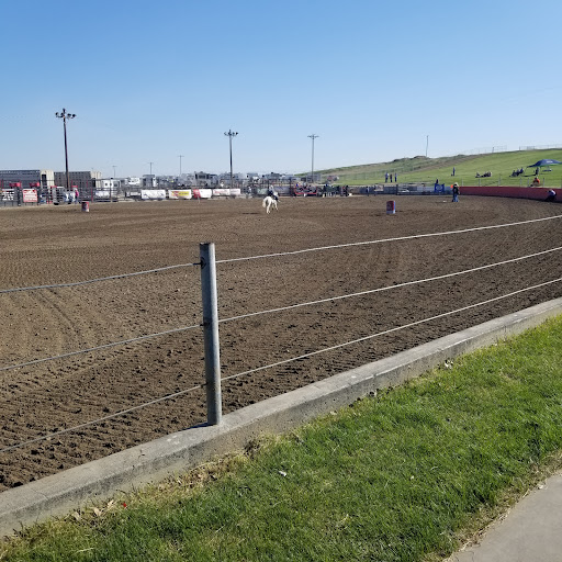Basin City arena