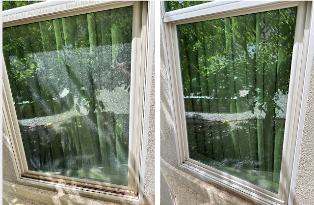 Gallery of Silverback Window Cleaning located in  - Top-rated Window Cleaning Service near me.