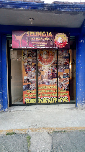Instituto Seungja de Taekwondo y Defensa Personal