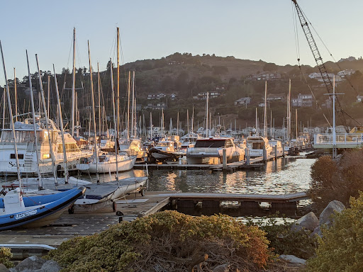 Tiburon Yacht Club