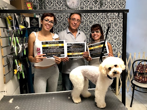 Le Mascotte Peluqueria Canina, Pet Shop, Cursos de Peluquería y Estetica Canina, Author: Le Mascotte Peluqueria Canina, Pet Shop, Cursos de Peluquería y Estetica Canina