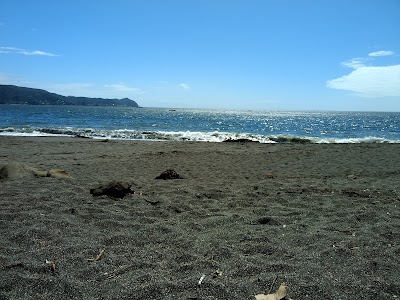 Photos of Playa Niebla - Valdivia