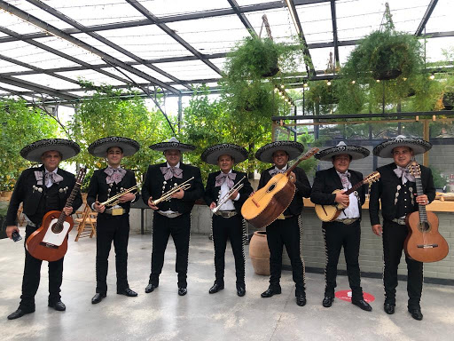 Mariachis mexicanos en Cantabria y el resto de España