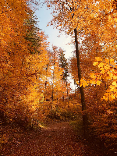 Green Moment Activities - Visual