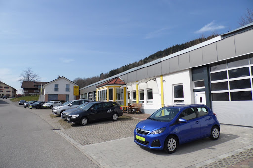 Auto Felder - Visual