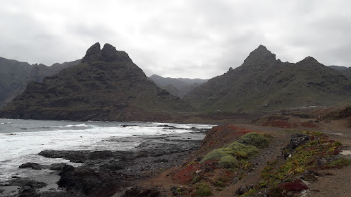 CRFS La Tahonilla (Centro Recuperación Fauna Silvestre) - Thumbnail