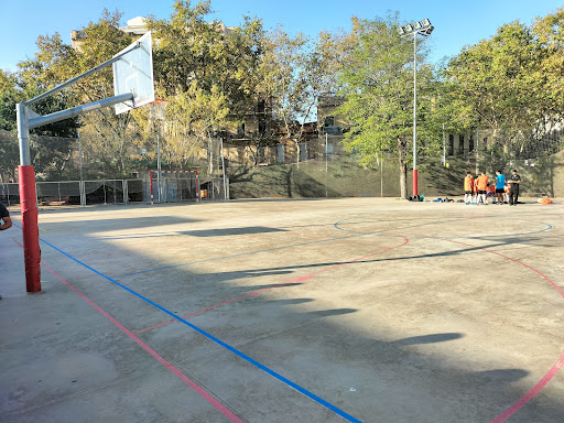 Institut Icària - Thumbnail